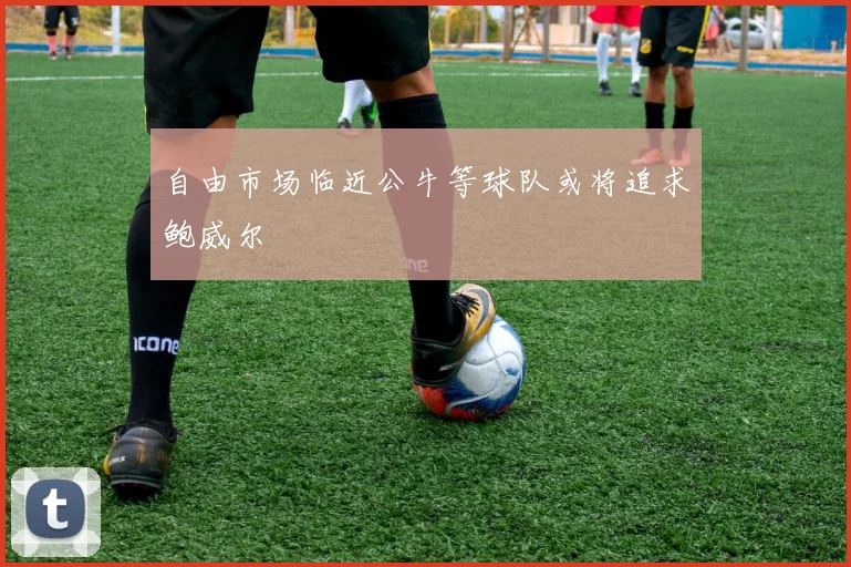 自由市场临近公牛等球队或将追求鲍威尔