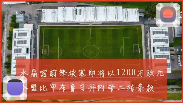 水晶宫前锋埃塞即将以1200万欧元加盟比甲布鲁日并附带二转条款