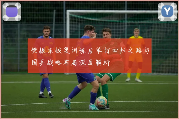 樊振东恢复训练后单打回归之路与国乒战略布局深度解析